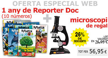 Reporter Doc