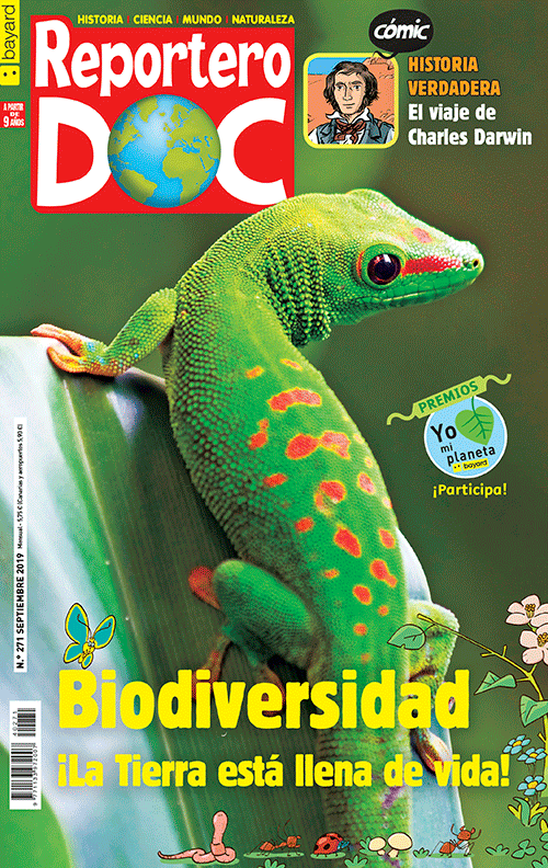 Portada